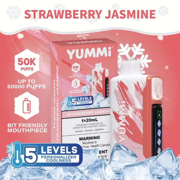 hayami disposable vape Bang King 85K Puffs 3 Flavors in 1 Rechargeable Disposable Vape main image 1